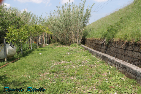 Progetto di trasformazione in stagno di un canaletto vuoto!